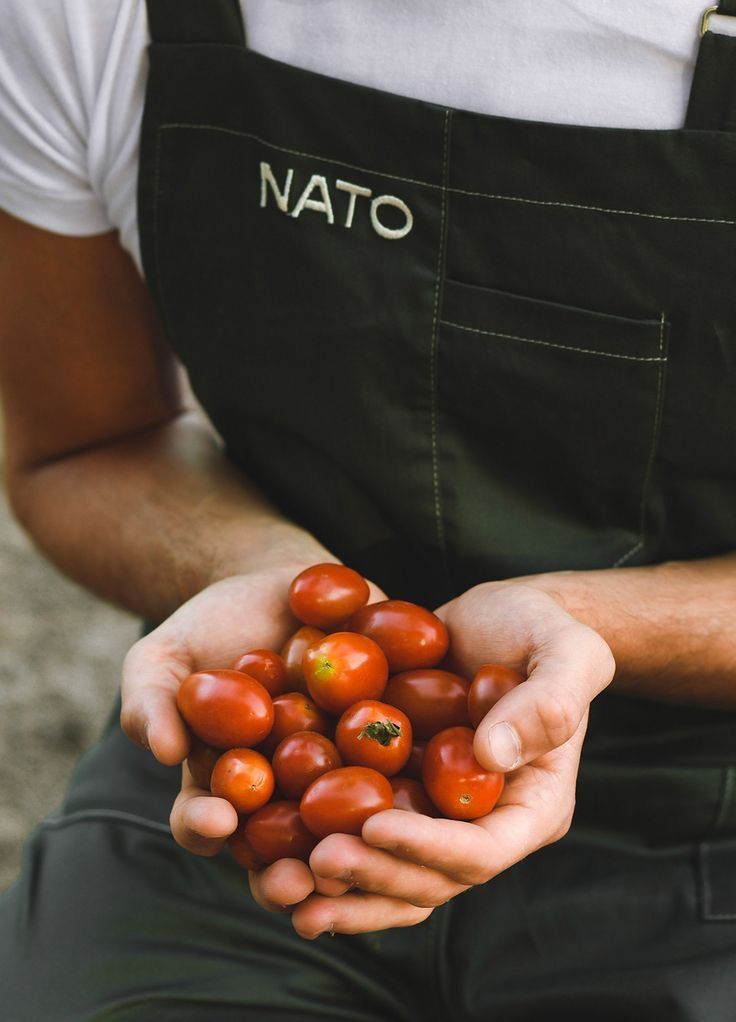 Menu pricing and food cost balance